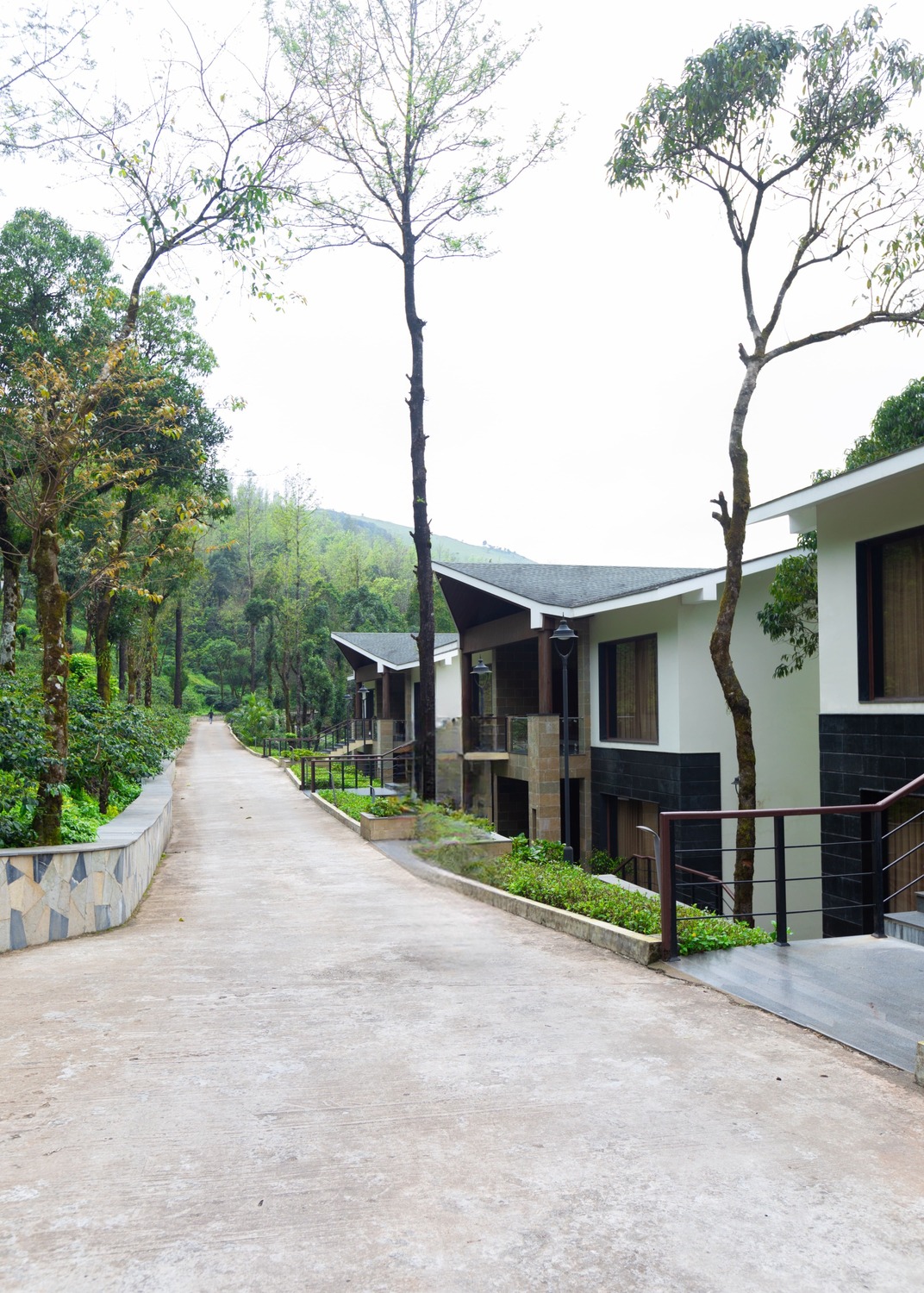 Garden Suite, photo 7