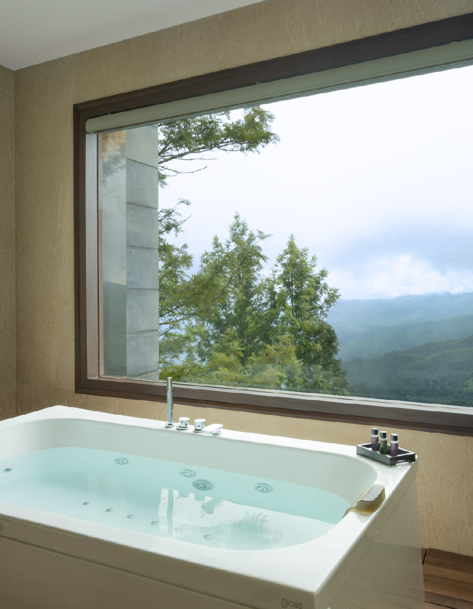 Mountain Suite, photo 6