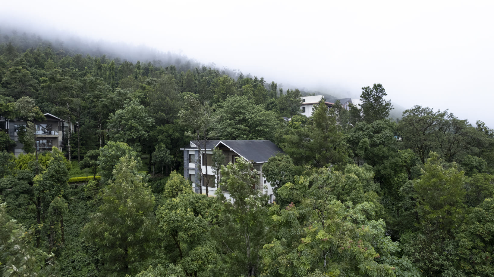 Mountain Suite, photo 7